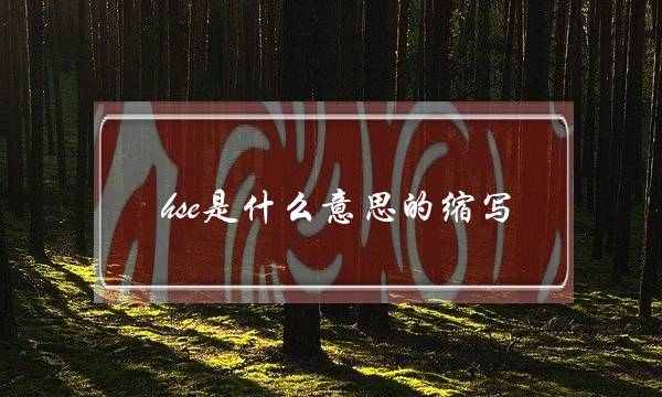 hse是什么意思的缩写(hse岗位职责是什么)
