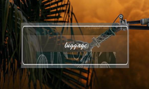 luggage baggage 区别(baggage和luggage的区别是啥)