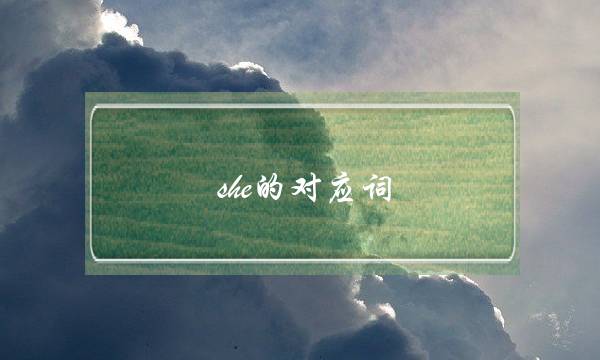 she的对应词(对应词是什么意思)