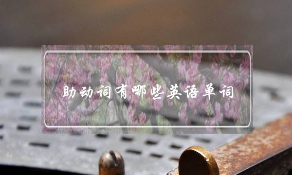 助动词有哪些英语单词(英语助动词大全)