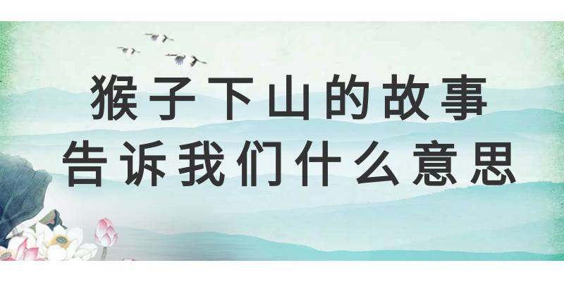 猴子下山的故事告诉我们什么意思(猴子下山这个故事告诉我们什么)