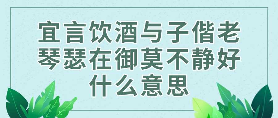宜言饮酒与子偕老琴瑟在御莫不静好什么意思(宜言饮酒,与子携老,琴瑟在御,莫不静好)