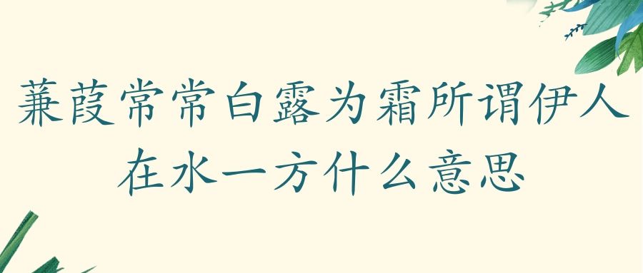 蒹葭常常白露为霜所谓伊人在水一方什么意思(蒹葭为霜白露为霜所谓伊人在水一方)