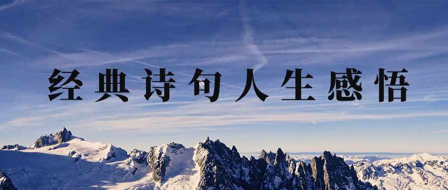 经典诗句人生感悟(经典诗句人生感悟古诗)