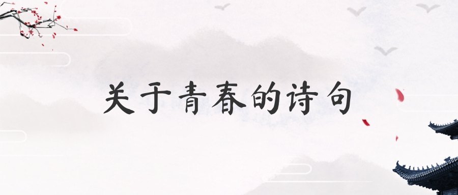 关于青春的诗句(关于青春的诗句现代诗)
