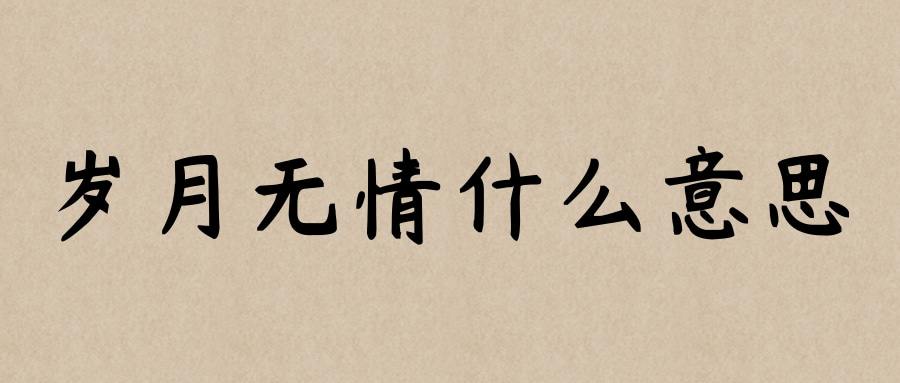岁月无情什么意思(奈何岁月无情什么意思)