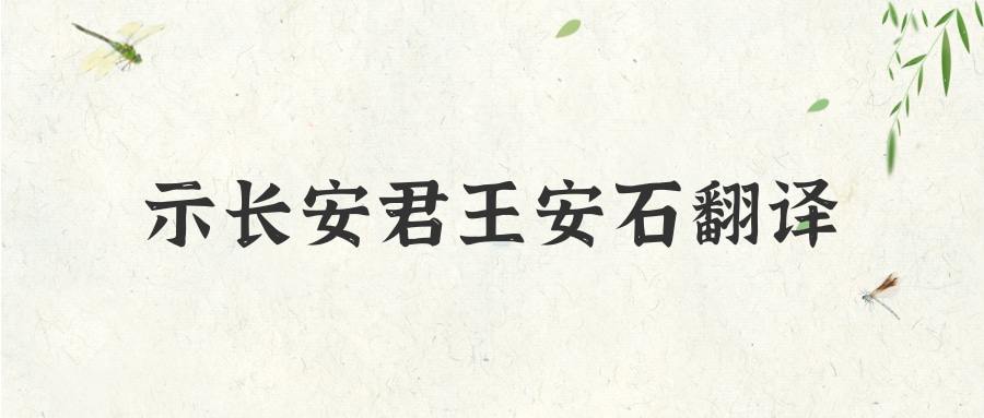 示长安君王安石翻译(示长安君王安石赏析)