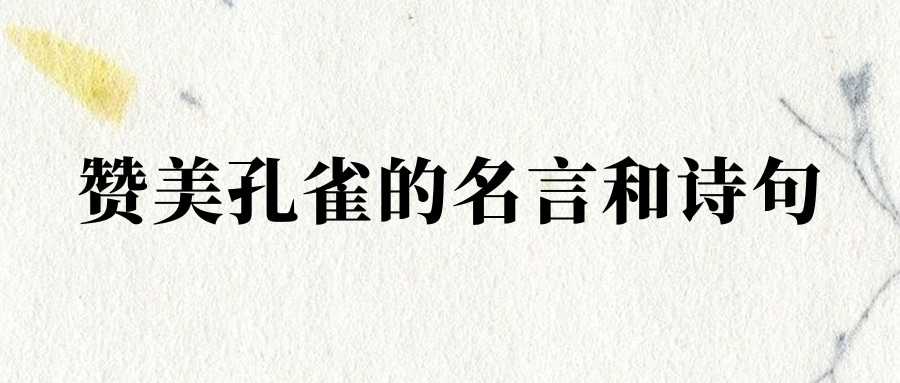 赞美孔雀的名言和诗句(描写孔雀的名言和诗句)