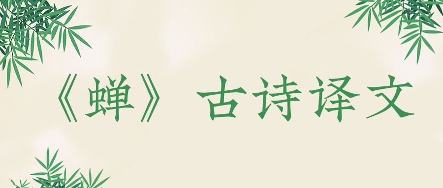 蝉古诗译文(蝉古诗译文带拼音)