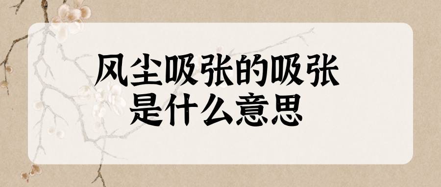 风尘吸张的吸张是什么意思(风尘吸张的吸张是什么意思是什么意思)