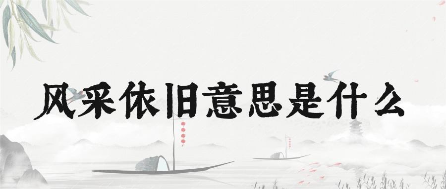 风采依旧意思是什么(依旧风采的意思)