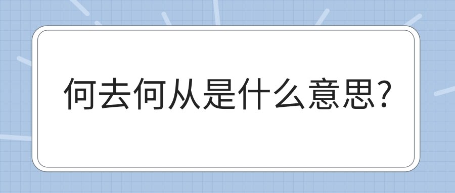 何去何从是什么意思(我该何去何从是什么意思)