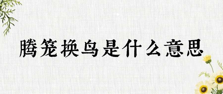 腾笼换鸟是什么意思(腾笼换鸟是什么意思一)