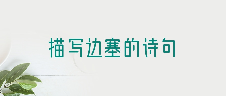 描写边塞的诗句(描写边塞的诗句古诗)