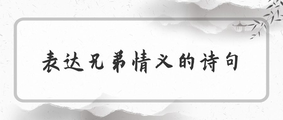 表达兄弟情义的诗句(表达兄弟情义的诗句三字)
