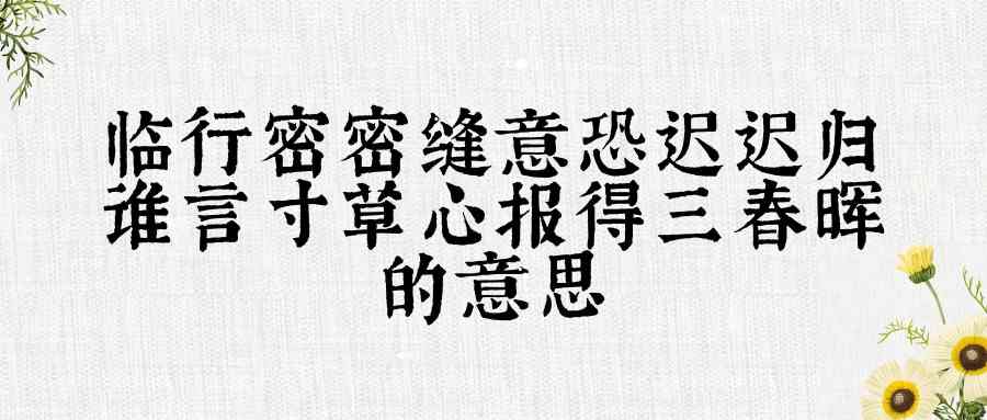 临行密密缝意恐迟迟归谁言寸草心报得三春晖的意思(临行密密缝意恐迟迟归谁言寸草心报得三春晖)
