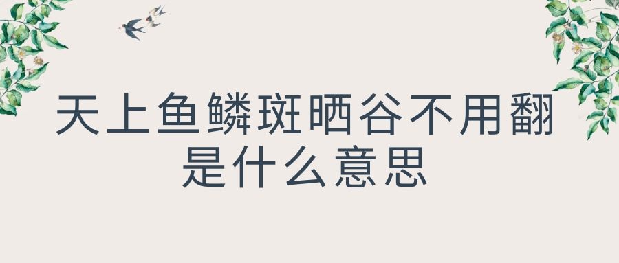 天上鱼鳞斑晒谷不用翻是什么意思(天有鱼鳞斑 晒谷不用翻)_1