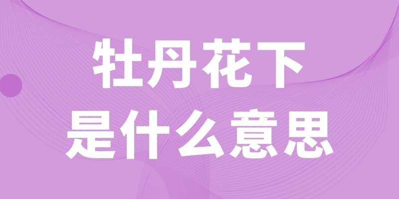 牡丹花下是什么意思(花中牡丹是什么意思)