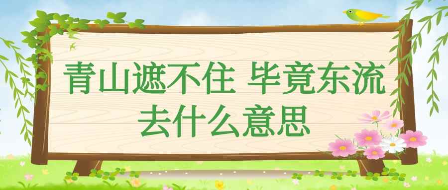 青山遮不住 毕竟东流去什么意思(青山遮住不住,毕竟东流去什么意思)