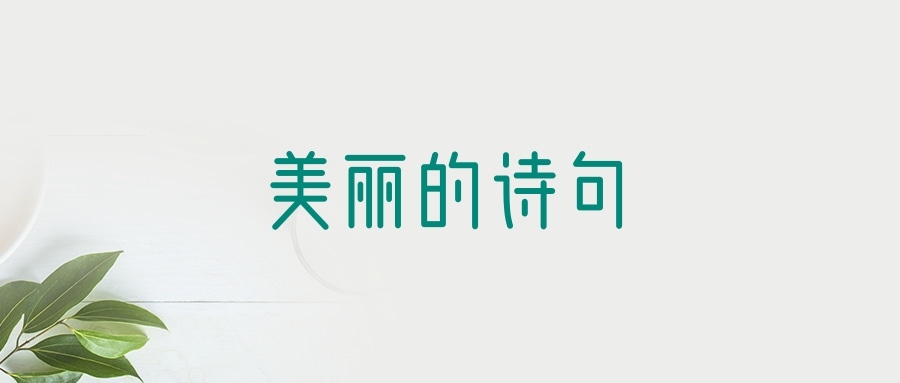 美丽的诗句(美丽的诗句还是美妙的诗句)