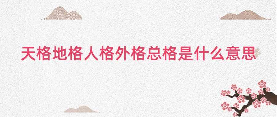 天格地格人格外格总格是什么意思(天格地格人格外格总格哪个重要)