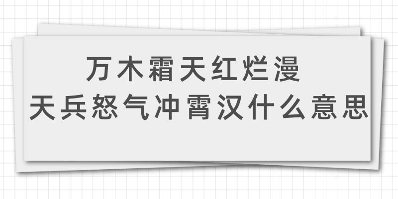 万木霜天红烂漫 天兵怒气冲霄汉什么意思(万木霜天红烂漫 天兵怒气冲霄汉什么意思对仗)