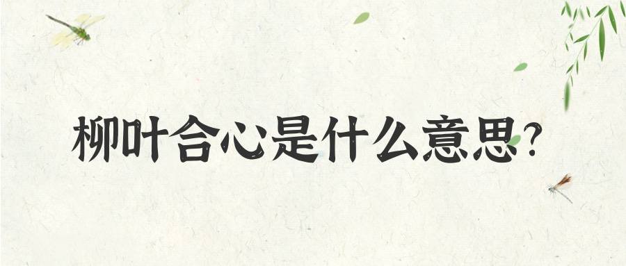 柳叶合心是什么意思(柳叶合心的样子)