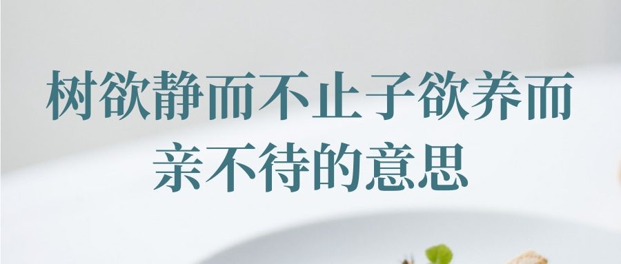 树欲静而不止子欲养而亲不待的意思(树欲静而不止子欲养而亲不待的意思是什么)