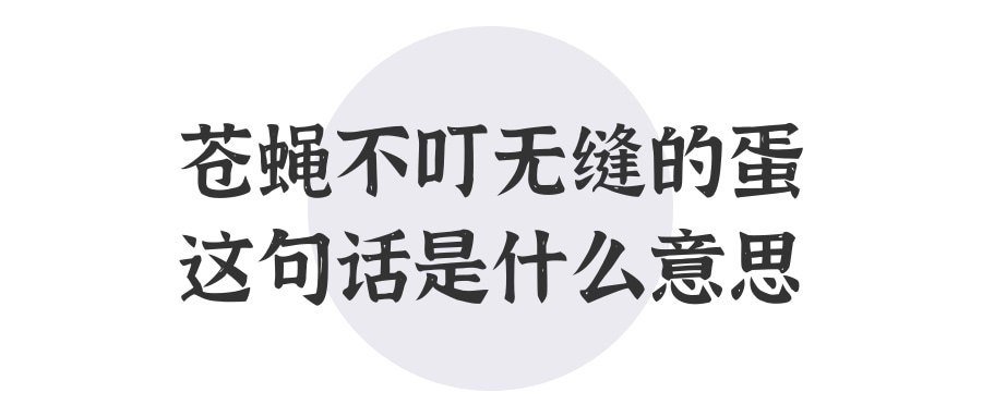 苍蝇不叮无缝的蛋这句话是什么意思(苍蝇不叮无缝的蛋这句话有道理吗)