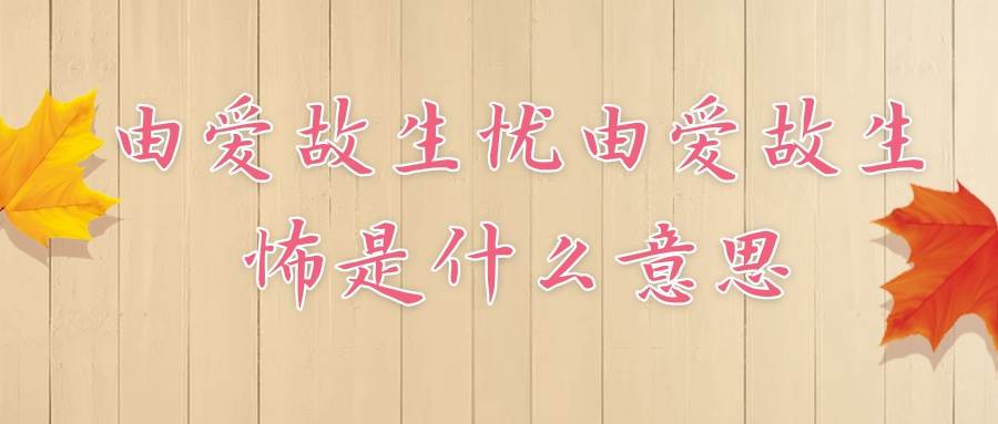 由爱故生忧由爱故生怖是什么意思(由爱故生忧 由爱故生怖)