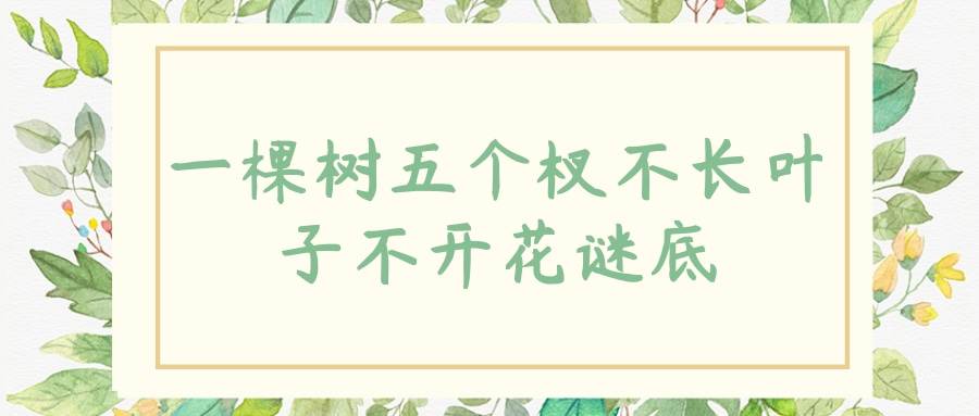一棵树五个杈不长叶子不开花谜底(一棵树五个杈不长叶子不开花谜底打一人体部位)