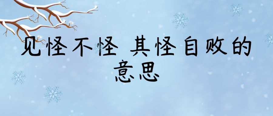 见怪不怪 其怪自败的意思(见怪不怪 其怪自败的意思虚荣心)