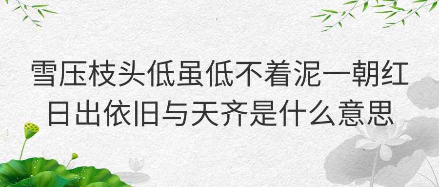 雪压枝头低虽低不着泥一朝红日出依旧与天齐是什么意思(雪压枝头低 虽低不着泥 一朝红日出依旧与天齐)