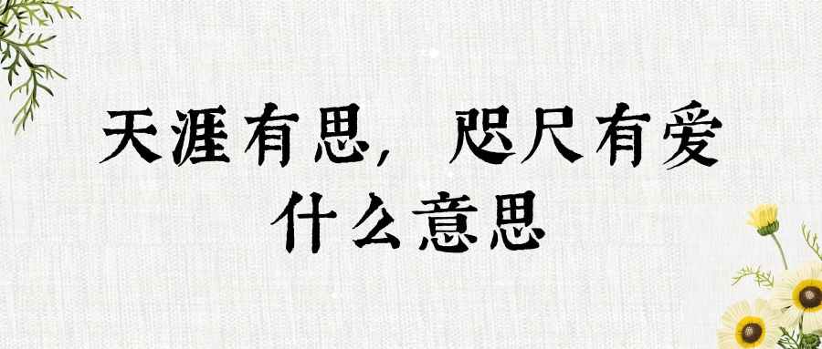 天涯有思,咫尺有爱什么意思(天涯有思,咫尺天涯什么意思)