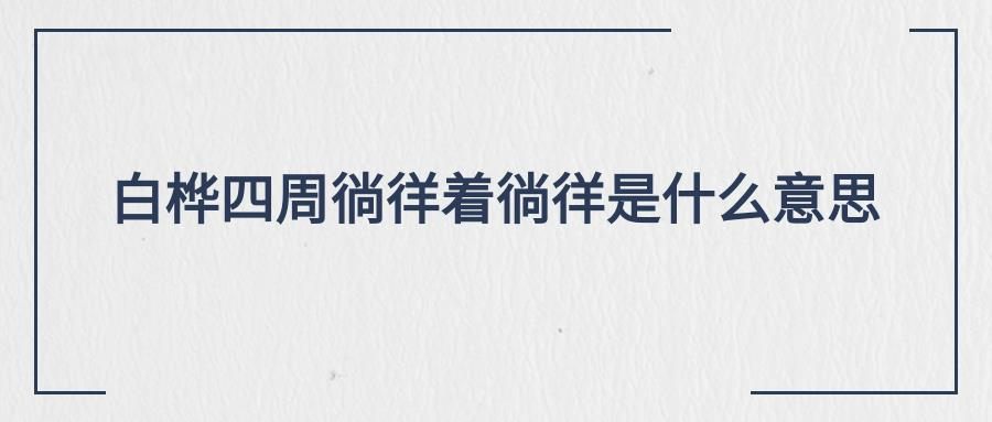 白桦四周徜徉着徜徉是什么意思(白桦四周倘徉着倘徉的意思)