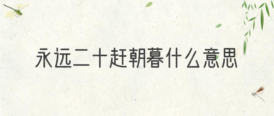 永远二十赶朝暮什么意思(删繁就简,永远二十赶朝暮什么意思)