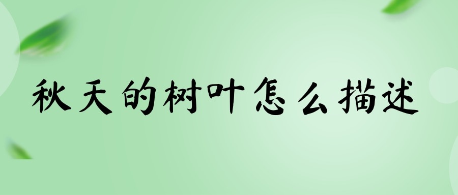 秋天的树叶怎么描述(秋天的树叶怎么描述作文)