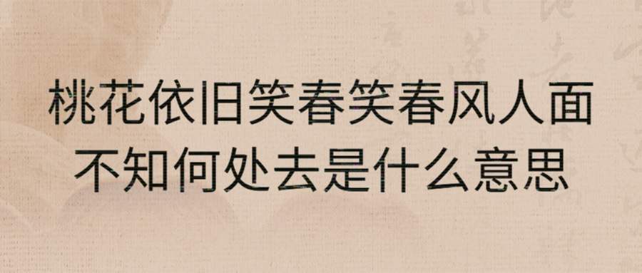 桃花依旧笑春笑春风人面不知何处去是什么意思(桃花依旧笑春笑春风人面不知何处去是什么意思书法)_1