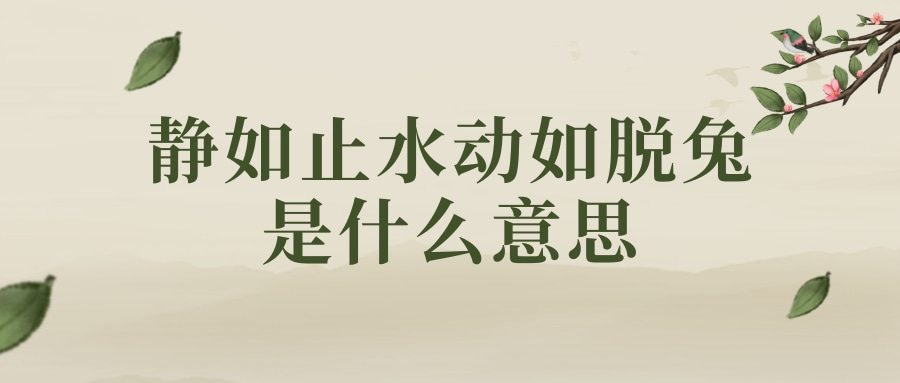 静如止水动如脱兔是什么意思(动似脱兔,静如止水)