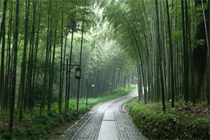 温妤婉傅宴珩：结局+番外(温妤婉傅宴珩)全文温妤婉傅宴珩阅读无弹窗结局_温妤婉傅宴珩+结局最新章节列表_笔趣阁（温妤婉傅宴珩：结局+番外）