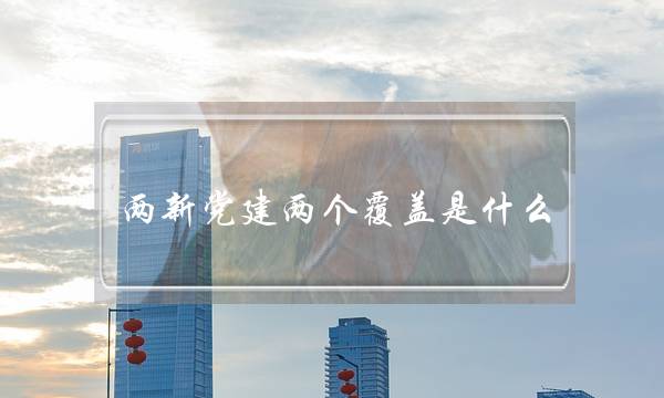 两新党建两个覆盖是什么(两个维护,四个意识,四个自信)