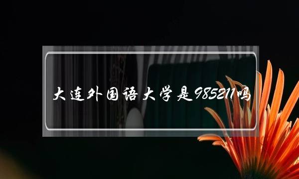 大连外国语大学是985211吗(天津外国语大学是985211吗)