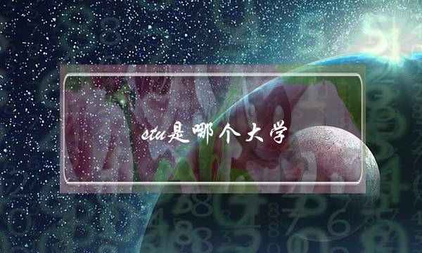 stu是哪个大学(美国承认中国4所大学)