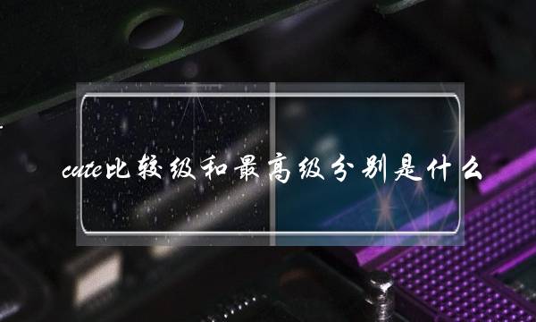 cute比较级和最高级分别是什么(thin的比较级和最高级)