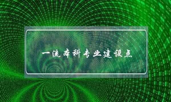 一流本科专业建设点(地方专项对二本有用吗)