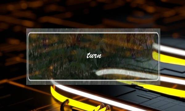 turn into用法及例句(turn…into造句初二)