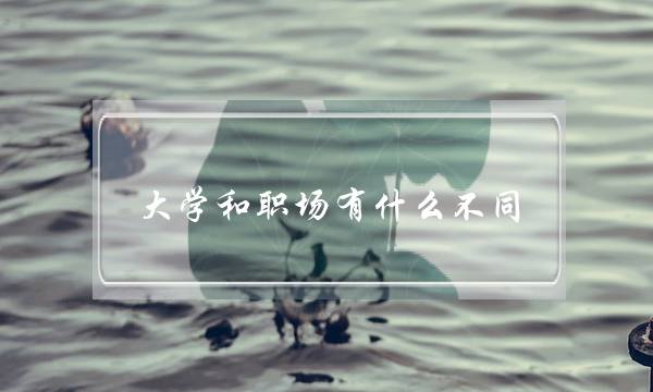大学和职场有什么不同(职业发展方向有哪些)