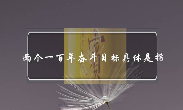 两个一百年奋斗目标具体是指(我国2025年实现的目标)