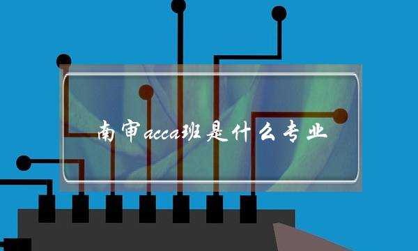 南审acca班是什么专业(南审acca班一年的学费)