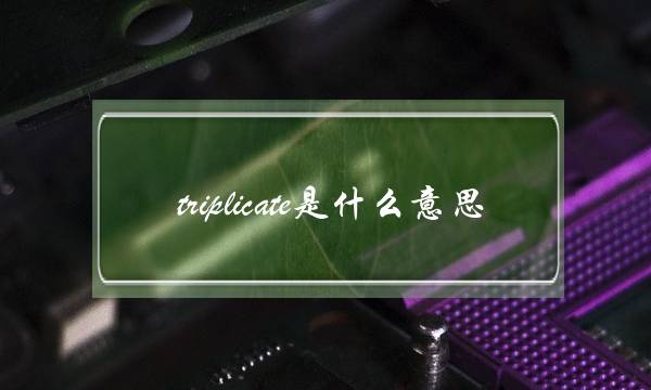 triplicate是什么意思(workmanship)